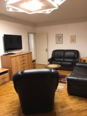 Bulevar NT Novi Beograd, Zemun